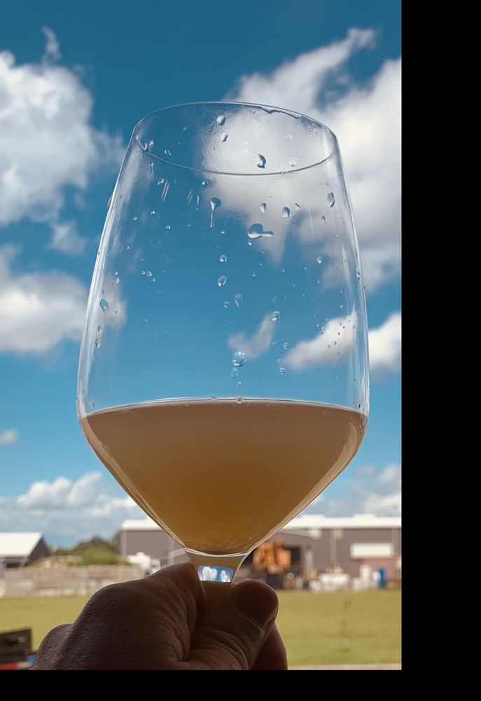 Sugarfield Spirits - vineyard in Gonzales, LA