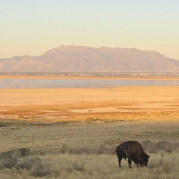 Antelope Island State Park - Hiking Near Me - Syracuse, Utah Antelope Island State Park - Hiking Near Me - Syracuse, Utah