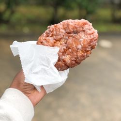 Monroe's Donuts and Bakery - Apple Fritter