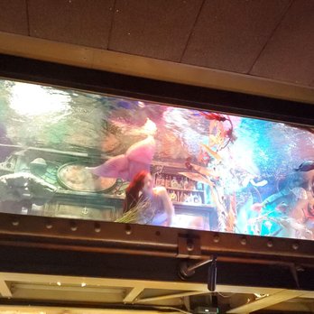 Dive Bar - Mermaid show - Dive Bars Near Me - Sacramento, California Dive Bar - Mermaid show - Dive Bars Near Me - Sacramento, California