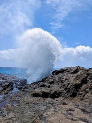 Halona Beach Cove by null