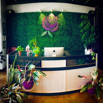 Punky Professional Hair - Reception Desk at Salon Rosé - Hair Salons Near Me - Austin, Texas Punky Professional Hair - Reception Desk at Salon Rosé - Hair Salons Near Me - Austin, Texas
