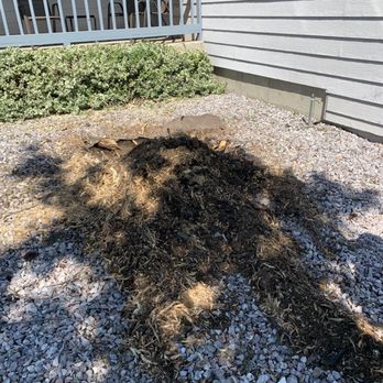 Sam's Tree & Landscape - Tree Services Near Me - Spokane, Washington