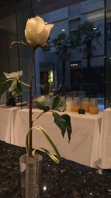 Hotel Villa Fontaine Grand Tokyo-Roppongi by null