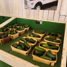 pickles and cucumbers on display pickles and cucumbers on display