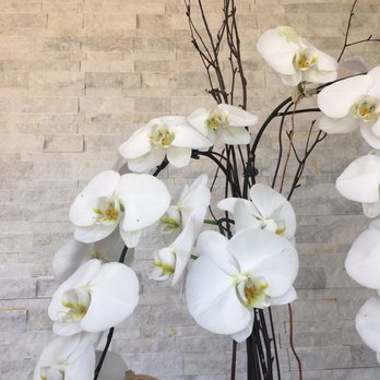 South Coast Orchids - I've kept them alive for over a month! #nofilter - Florists Near Me - Vista, California South Coast Orchids - I've kept them alive for over a month! #nofilter - Florists Near Me - Vista, California