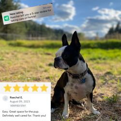 Cougar Creek Dog Resort - Customer Review