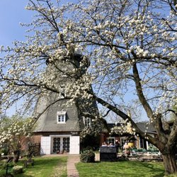 Zur Mühle