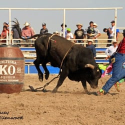 koltiska fine spirits - Koltiska is a big supporter of the Wyo Rodeo!