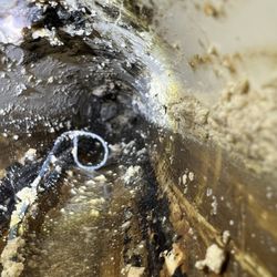 1-Tom-Plumber - Took a 6' wire with a hoop to dig out the blockage