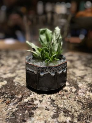 Grey Hen Rx at Century Grand by null