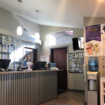 Kingsmark Kennels - Pet Groomers Near Me - Flagstaff, Arizona Kingsmark Kennels - Pet Groomers Near Me - Flagstaff, Arizona