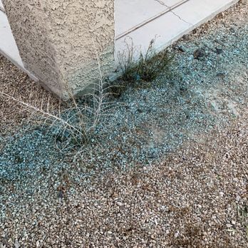 Burns Pest Elimination - Second round of treatment for the stubborn weeds. - Pest Control Near Me - Tucson, Arizona Burns Pest Elimination - Second round of treatment for the stubborn weeds. - Pest Control Near Me - Tucson, Arizona