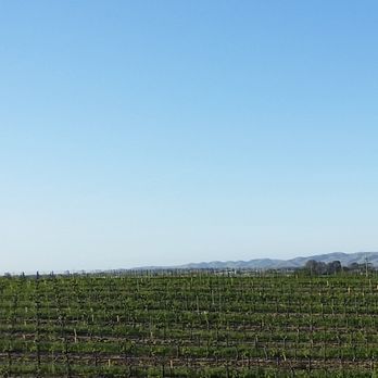 Eberle Winery - View of Vineyard - Wineries Near Me - Paso Robles, California Eberle Winery - View of Vineyard - Wineries Near Me - Paso Robles, California