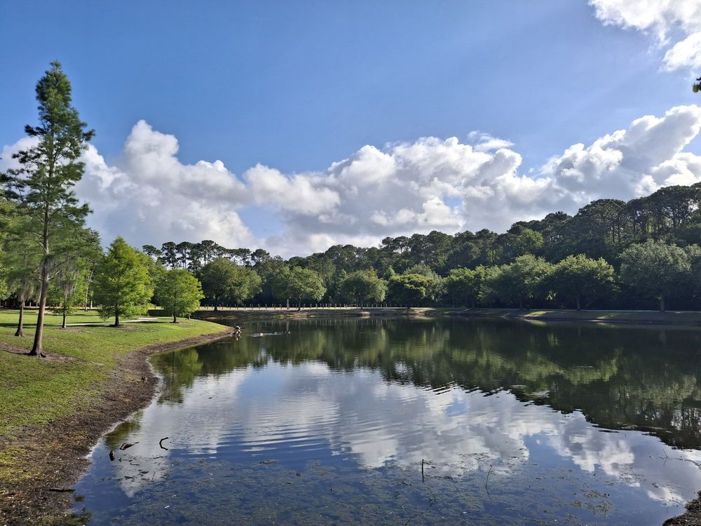Losco Regional Park Image