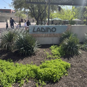 Ladino - Mediterranean Near Me - San Antonio, Texas