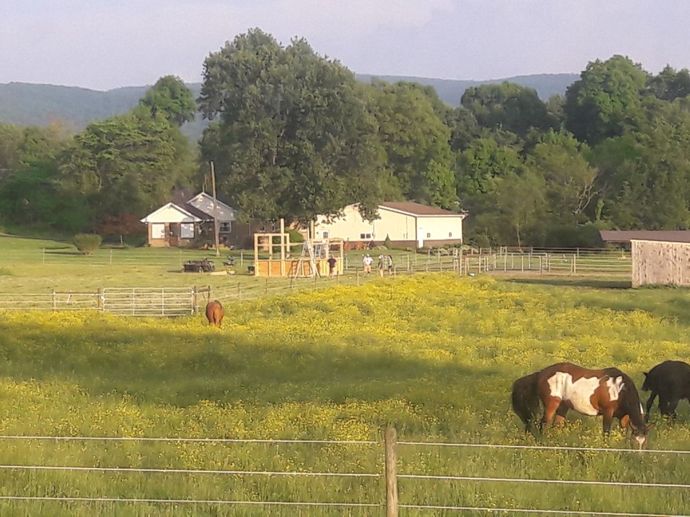 RINALDI’S PIZZA BARN 15 Reviews 969 Pizza Barn Rd, Blairsville