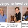 Animal Medical Center