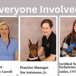 Animal Medical Center - Everyone Involved