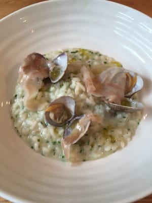 Sticky Walnut by null