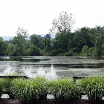 Bogati Winery - Grounds. - Wine Bars Near Me - Berryville, Virginia Bogati Winery - Grounds. - Wine Bars Near Me - Berryville, Virginia