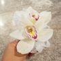 Photo of Doris Tanner's Flowers