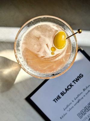 The Black Twig by null