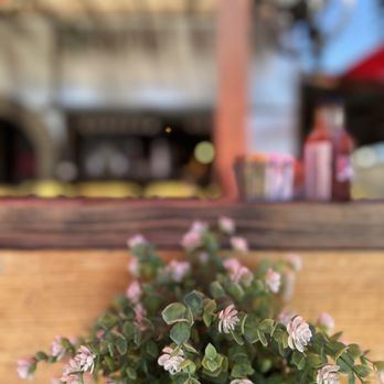 Breakfast Republic - Fresh flowers along the patio - Breakfast & Brunch Near Me - San Diego, California