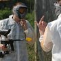 Photo of Paradise Paintball