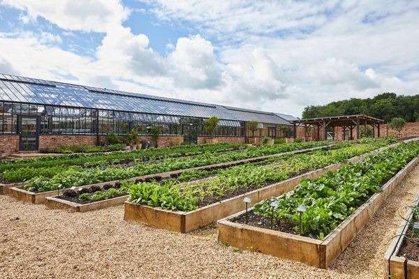 Soho Farmhouse by null