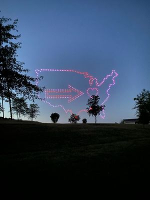 Holiday World & Splashin' Safari by null