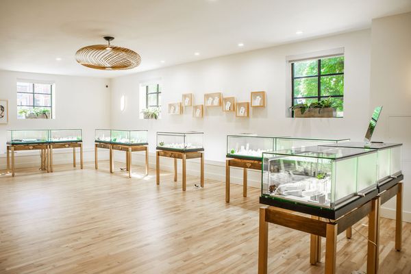 Malka Diamonds & Jewelry by null