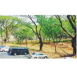 Ateneo De Manila University