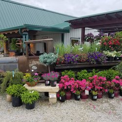 Casey's Outdoor Solutions Garden & Gifts - At Casey's we incorporate a combination of old and new to give our garden center a unique vibe.