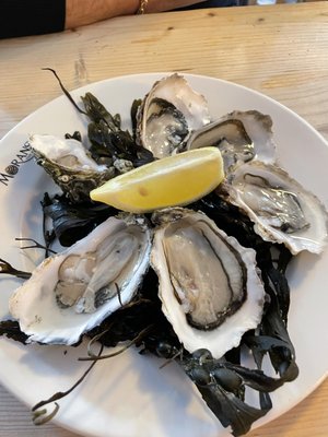 Moran's Oyster Cottage by null