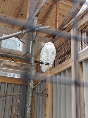 Canadian Museum of Nature / Musée canadien de la nature by null