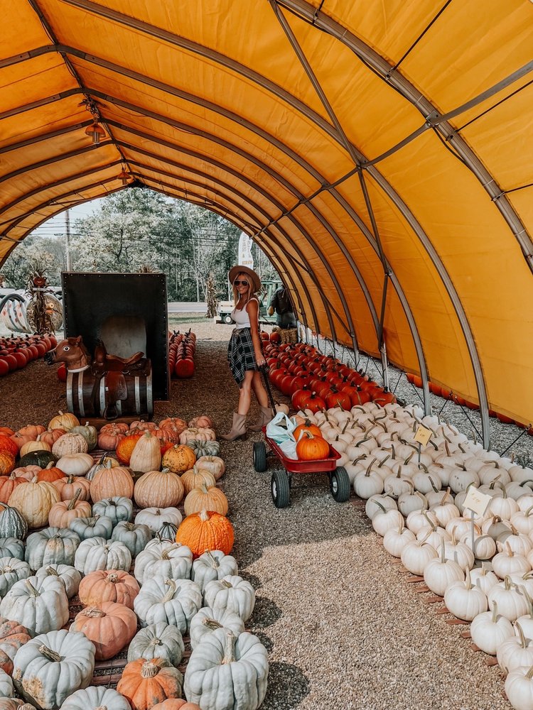 MULBERRY CORNERS PUMPKINS Updated August 2024 11591 Chillicothe Rd