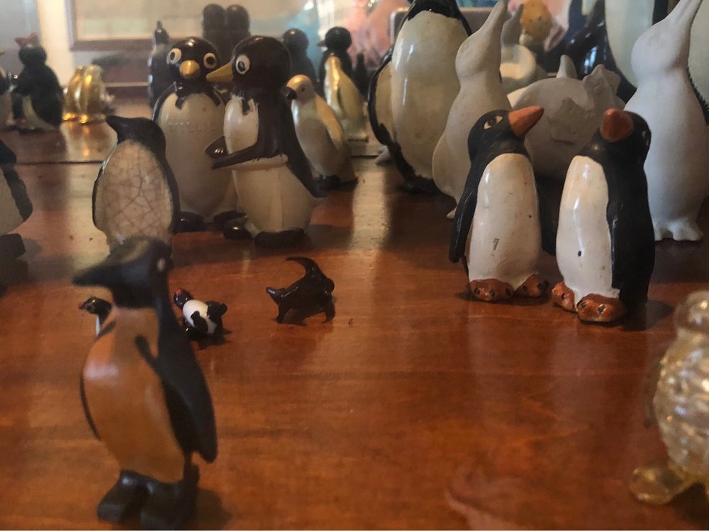 HAMMERSTEIN HOUSE Updated August 2024 49 Photos 1520 Polk St