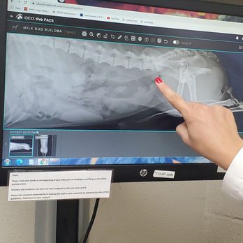 Northeast Veterinary Clinic - X-ray - Veterinarians Near Me - El Paso, Texas