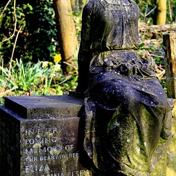 Abney Park Cemetery Trust - Community Service/Non-Profit Near Me - London, XGL