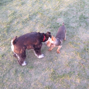 Kellogg Zaher Dog Park - Dog Parks Near Me - Las Vegas, Nevada Kellogg Zaher Dog Park - Dog Parks Near Me - Las Vegas, Nevada