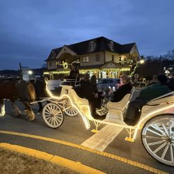 City of Dahlonega - Christmas in Dahlonega.