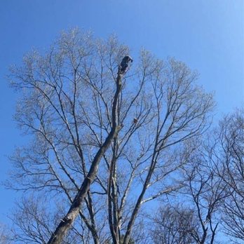 Agreeable Tree Service - No job too big, and no job too small - Tree Services Near Me