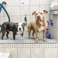 Pet Supplies Plus Oakville