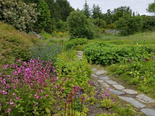 Arctic–Alpine Botanic Garden by null