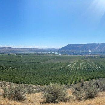 Lone Point Cellars - Stunning views - Venues & Event Spaces Near Me - Brewster, Washington Lone Point Cellars - Stunning views - Venues & Event Spaces Near Me - Brewster, Washington