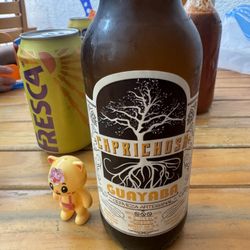 Alebrije - Cerveza artesanal.