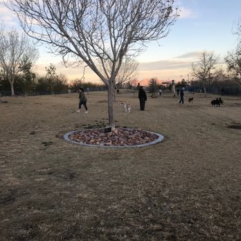 Kellogg Zaher Dog Park - Yes, that's a dog taking a poop...LOL! - Dog Parks Near Me - Las Vegas, Nevada Kellogg Zaher Dog Park - Yes, that's a dog taking a poop...LOL! - Dog Parks Near Me - Las Vegas, Nevada