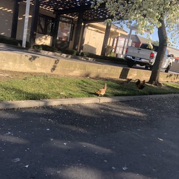 Foodmaxx - Chicken nearby - Grocery Near Me - Yuba City, California