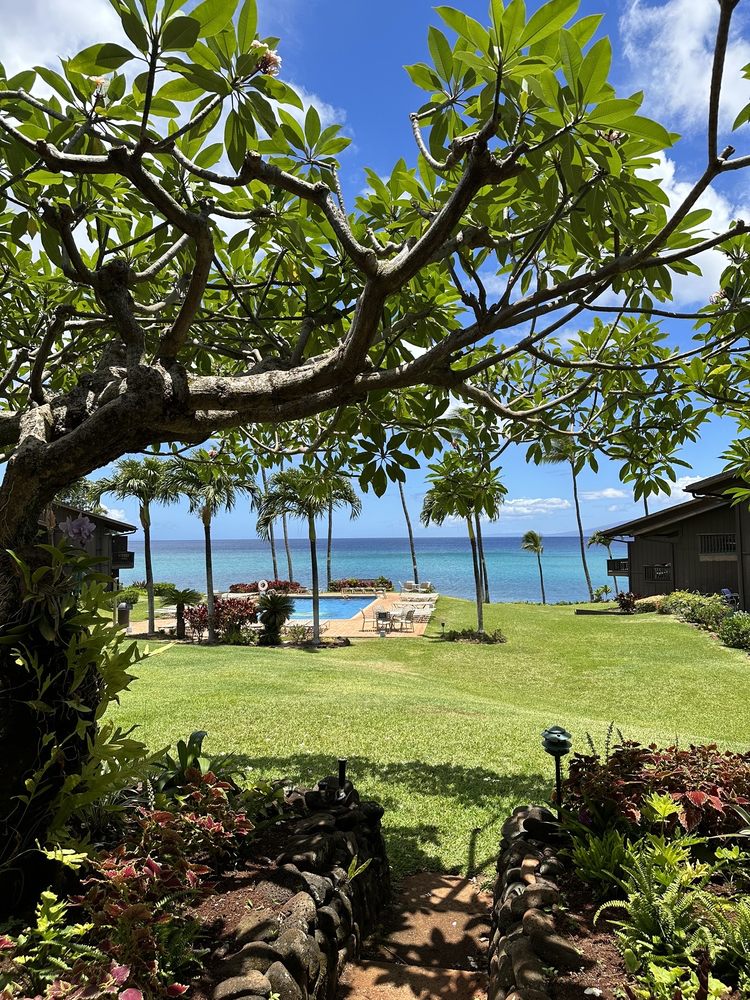 Mahina Surf
